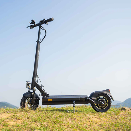 Adult electric scooters