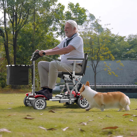 TODIMART YL-220 Elderly mobility scooter