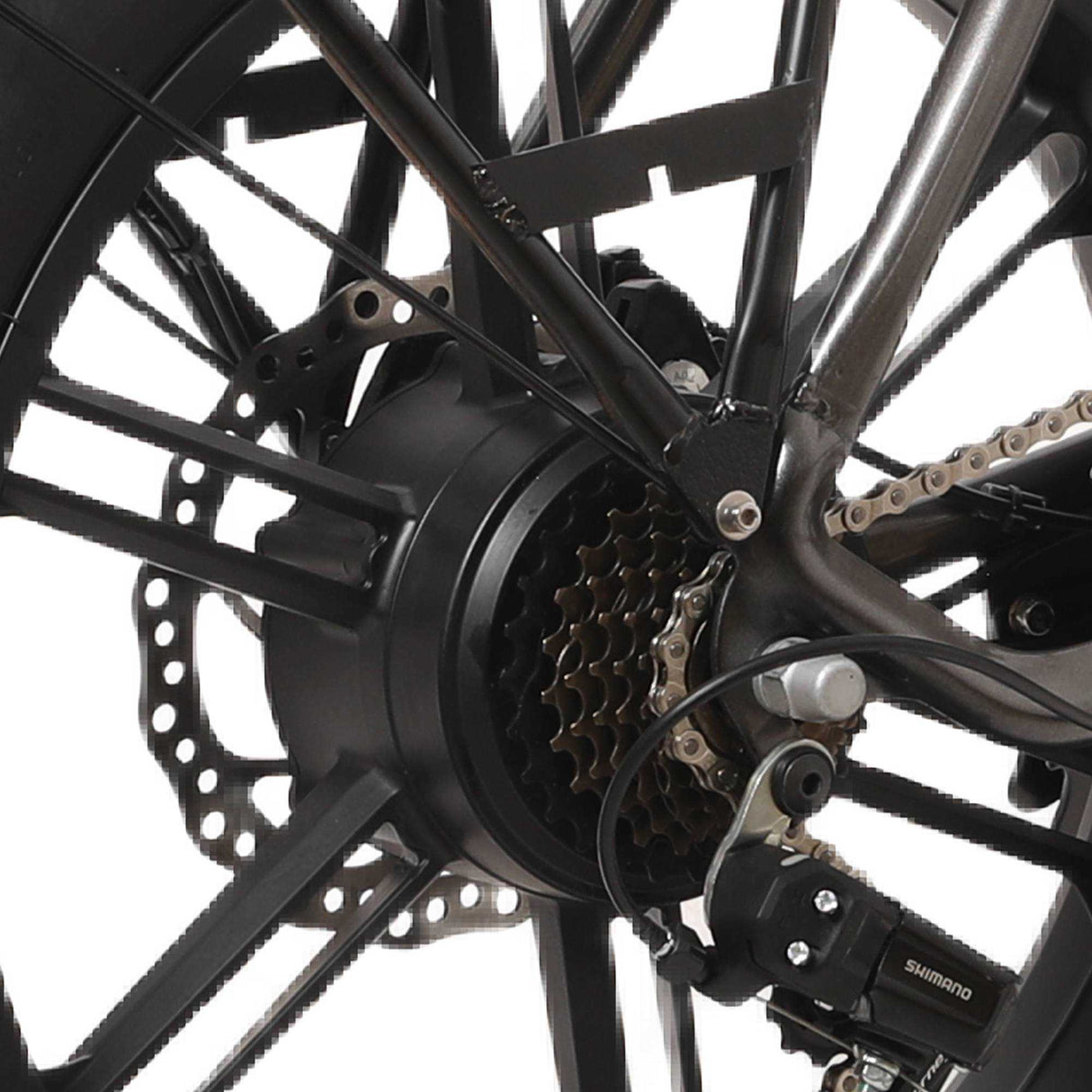 Martes Electric bike