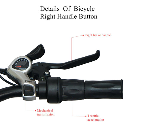 GW20 ELECTRIC FOLDING BIKE FAT TIRE WITH 48V 15AH BATTERY,CITY MOUNTAIN BICYCLE BOOSTER